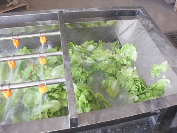 全網(wǎng)鏈洗菜機(jī)