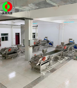 客戶現(xiàn)場(chǎng)兩條蔬菜清洗加工生產(chǎn)線順利安裝調(diào)試完成！