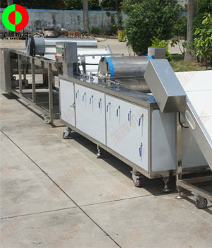 國(guó)外客戶訂制的藍(lán)莓自動(dòng)清洗分選生產(chǎn)線順利生產(chǎn)完成測(cè)試中！