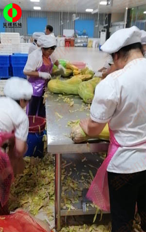 工程售后團(tuán)隊(duì)現(xiàn)場考察江西客戶生產(chǎn)現(xiàn)場,提供整套瓜果加工設(shè)備方案！