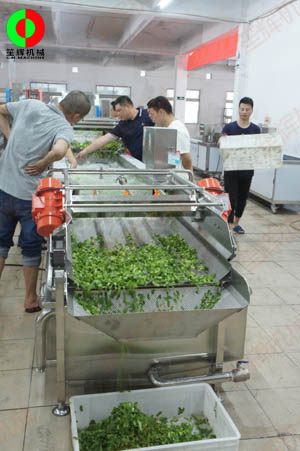 客戶親臨我司實地考察工廠及蔬果切割清洗生產(chǎn)線設(shè)備！