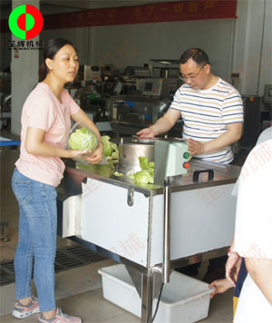 蔬果分瓣機現(xiàn)場測試，客戶滿意切割效果！