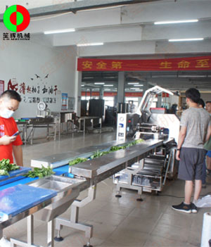 枕式蔬果包裝生產(chǎn)線,客戶現(xiàn)場測試驗收！