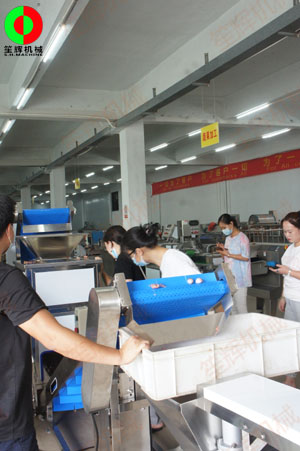 惠州客戶王小姐親臨我司測試洋蔥脫皮及切碎設(shè)備！