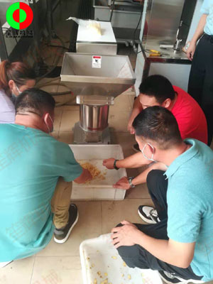 江門客戶謝先生親臨我司測(cè)試生姜清洗脫皮及打碎設(shè)備！