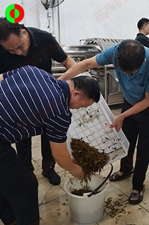 客戶(hù)來(lái)廠(chǎng)測(cè)試驗(yàn)貨果蔬清洗加工設(shè)備！