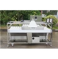 甘蔗清洗機(jī)/大型洗甘蔗機(jī)QM-2(視頻) 甘蔗清洗機(jī)/大型洗甘蔗機(jī)QM-2(視頻)