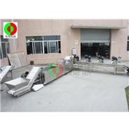 多功能洗菜機/洗菜機生產(chǎn)線/切菜-洗菜-風(fēng)干生產(chǎn)線（視頻）