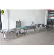 打蛋生產(chǎn)線/清洗、風干、光檢、24頭打蛋生產(chǎn)線(視頻)